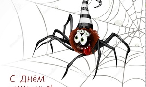 12 октября  день паука